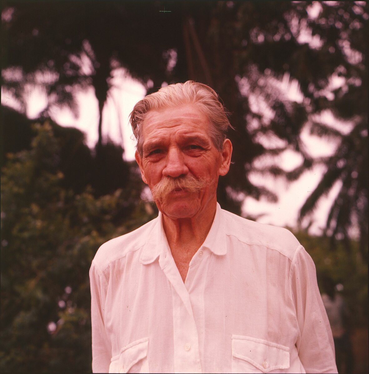 Albert Schweitzer Die Ehrfurcht Vor Dem Leben Albert Schweitzer: Die Ehrfurcht vor dem Leben - Demokratiegeschichten